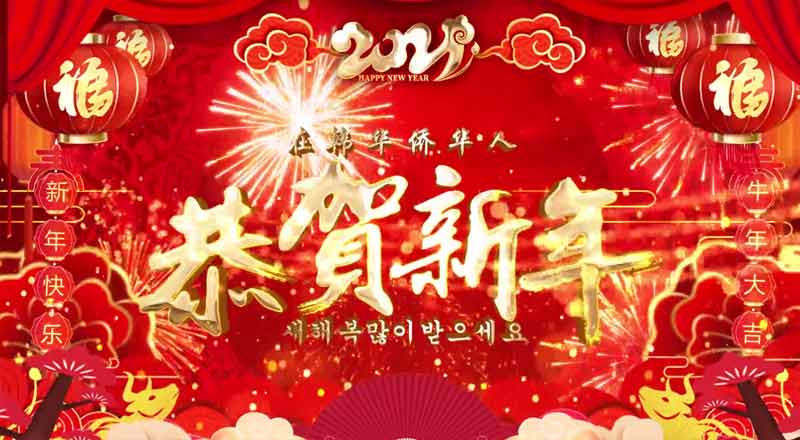 中国驻韩国大使馆举行2021年在韩华侨华人在线春节联欢会